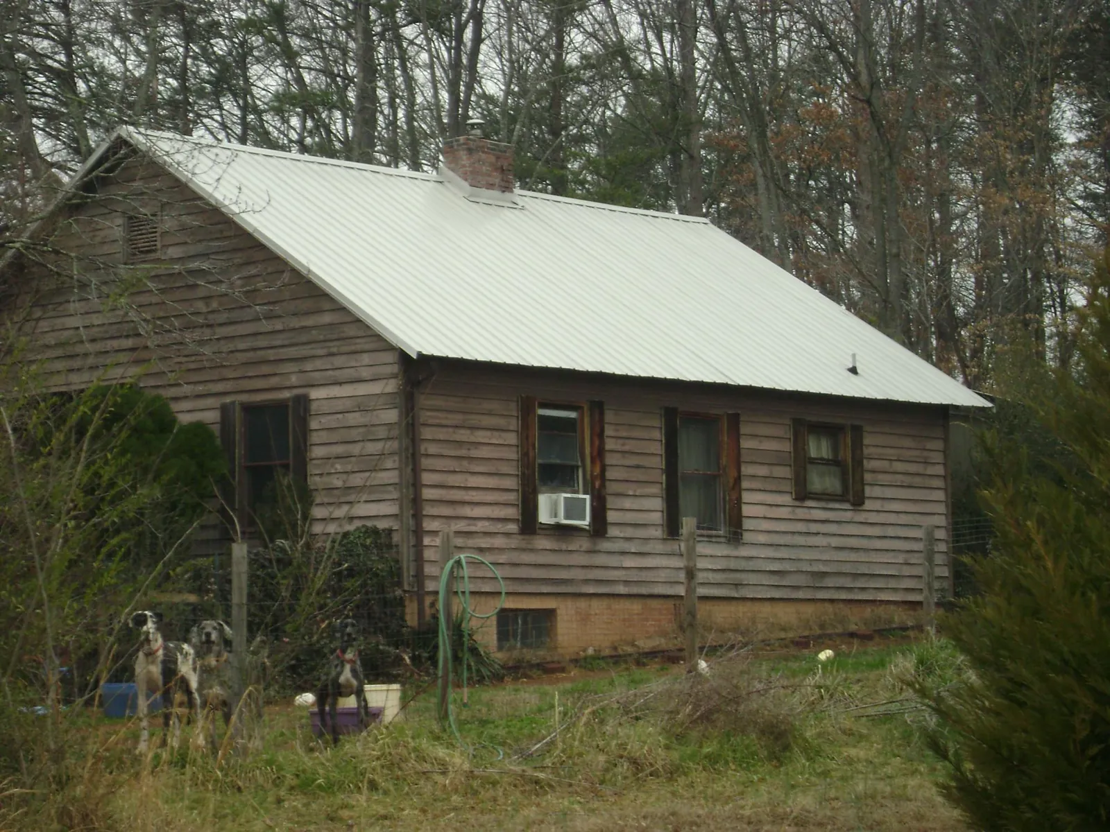 White metal roof on an old wood sided farmhouse, from a Asphalt Shingle Roof Repair job in Nevis
